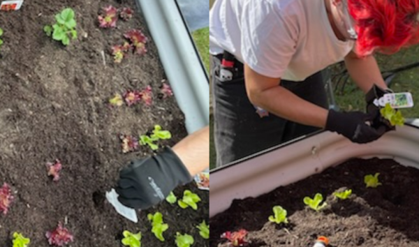 Blog Post Body Image Template News Website Stories